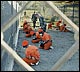 [Guantanamo Prison]